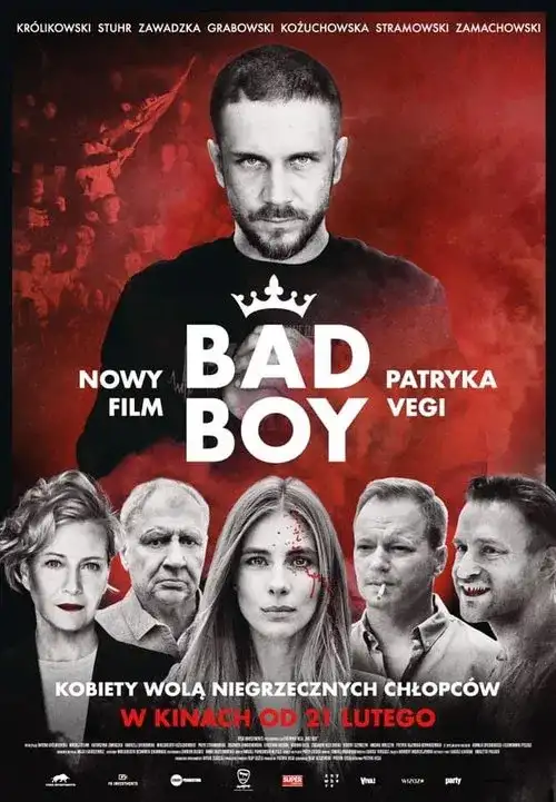 Download Bad Boy (Season 1) Dual Audio {Hindi English} Netflix Series 480p | 720p | 1080p WEB DL 12 bad boy season 1