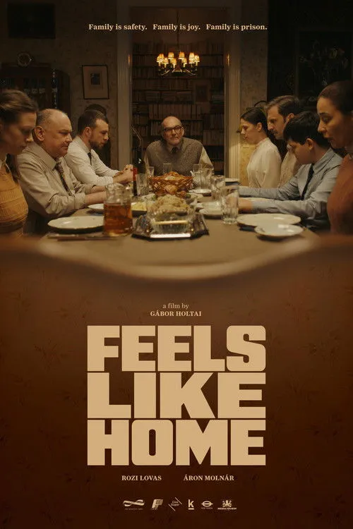 Download Feels Like Home (Season 1 – 2) Hindi Lionsgate Play Complete WEB Series 480p | 720p HDRip 9 feels like home season 1