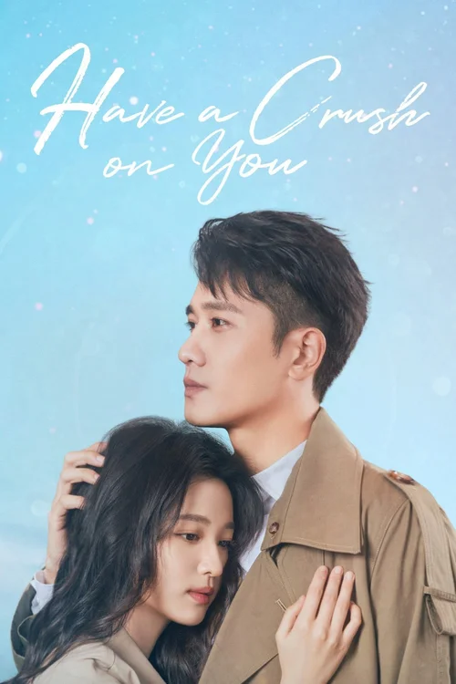 Download Have a Crush on You (Season 1) Dual Audio {Hindi Chinese} Series 480p | 720p | 1080p WEB DL 16 have a crush on you season 1