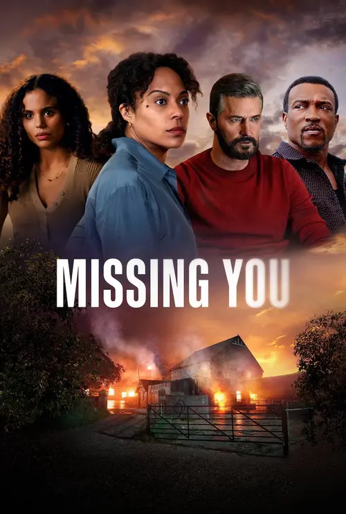 Download Missing You (2025) Season 1 Complete Dual Audio {Hindi English} Netflix Original WEB Series 480p | 720p WEB DL 13 missing you 2025