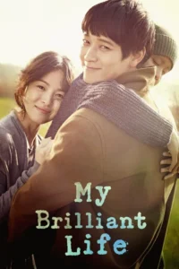 my brilliant life 2014