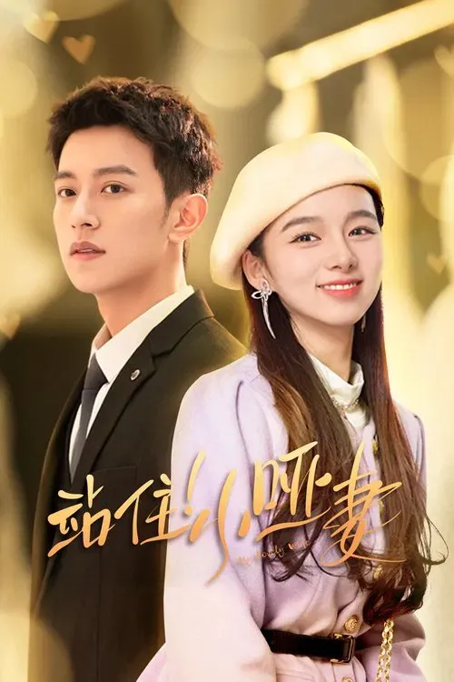 Download My Lovely Wife (Season 1) Hindi ORG Dubbed C Drama Series 480p 720p & 1080p WEB DL 14 my lovely wife season 1