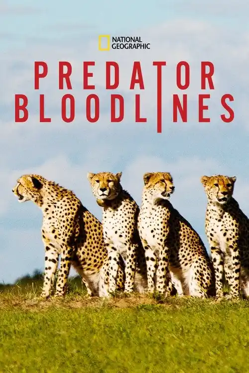 Download Predator Bloodlines (2021) Season 1 Hindi Complete DSNP WEB Series 480p | 720p HDRip 9 predator bloodlines 2021