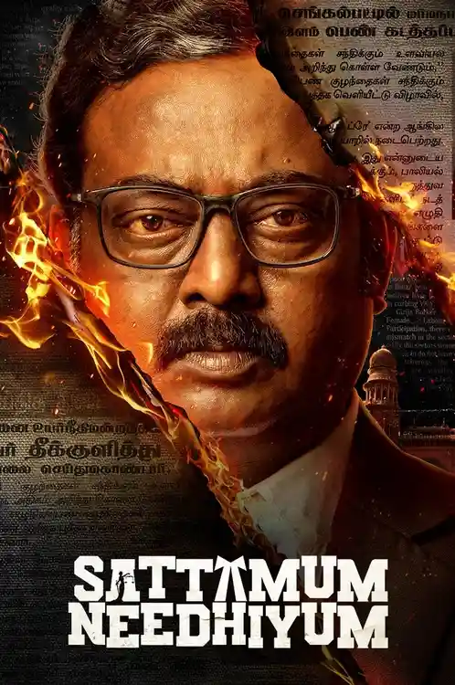 Download Sattamum Needhiyum (Season 1) Hindi Complete Zee5 Web Series 480p | 720p | 1080p WEB DL 20 sattamum needhiyum season 1