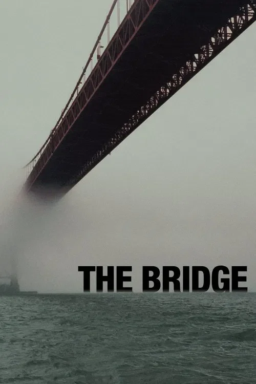 Download The Bridge (Season 1 – 4) Dual Audio {Hindi English} 480p | 720p | 1080p AMZN WEB DL 2 the bridge season 1