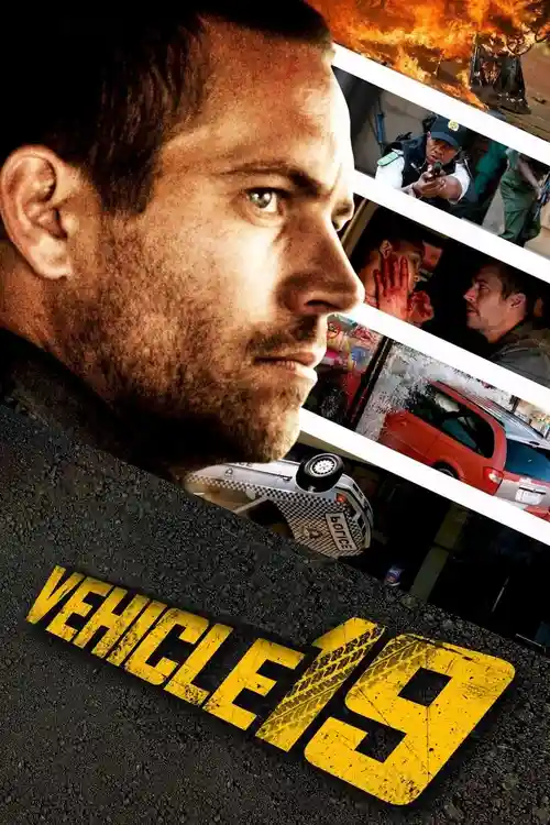vehicle 19 2013