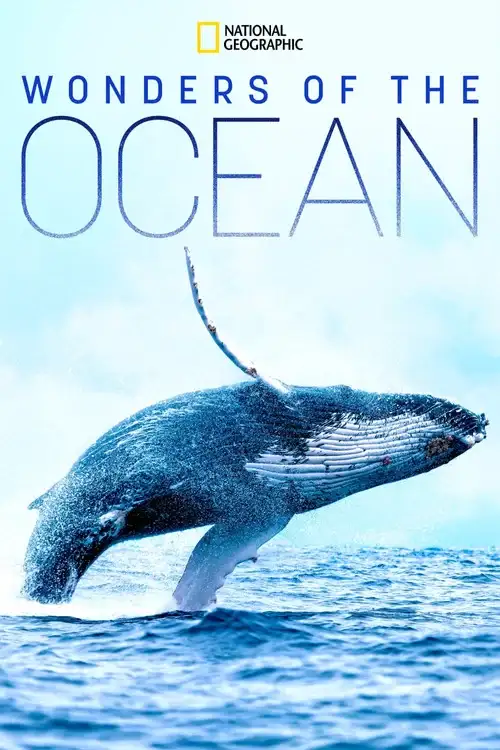 Download Wonders of the Ocean (2021) Season 1 Hindi Complete DSNP WEB Series 480p | 720p HDRip 7 wonders of the ocean 2021